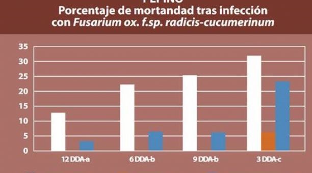 Gráfico de resultados del ensayo contra Fusarium en el cultivo de pepino.