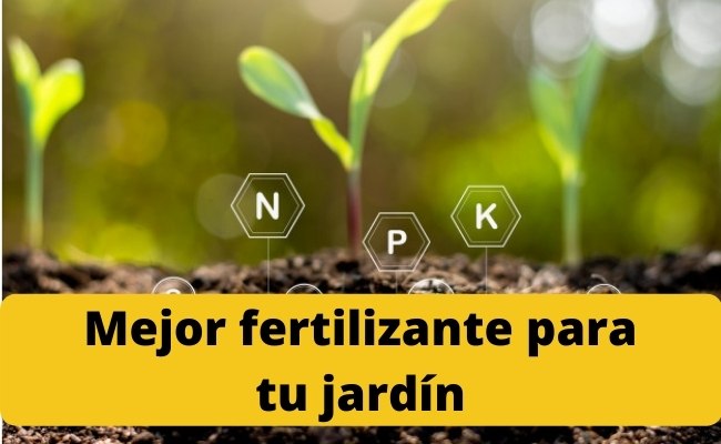 Mejor fertilizante para tu jardín
