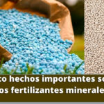 Cinco hechos importantes sobre los fertilizantes minerales