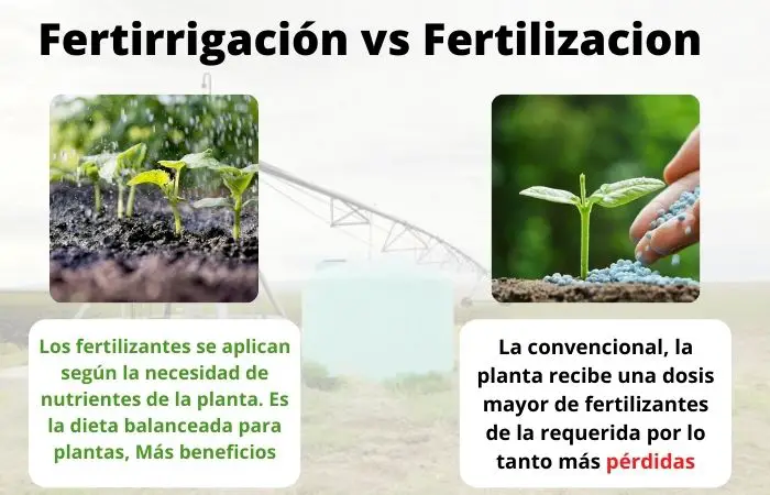 Fertirrigación vs Fertilización