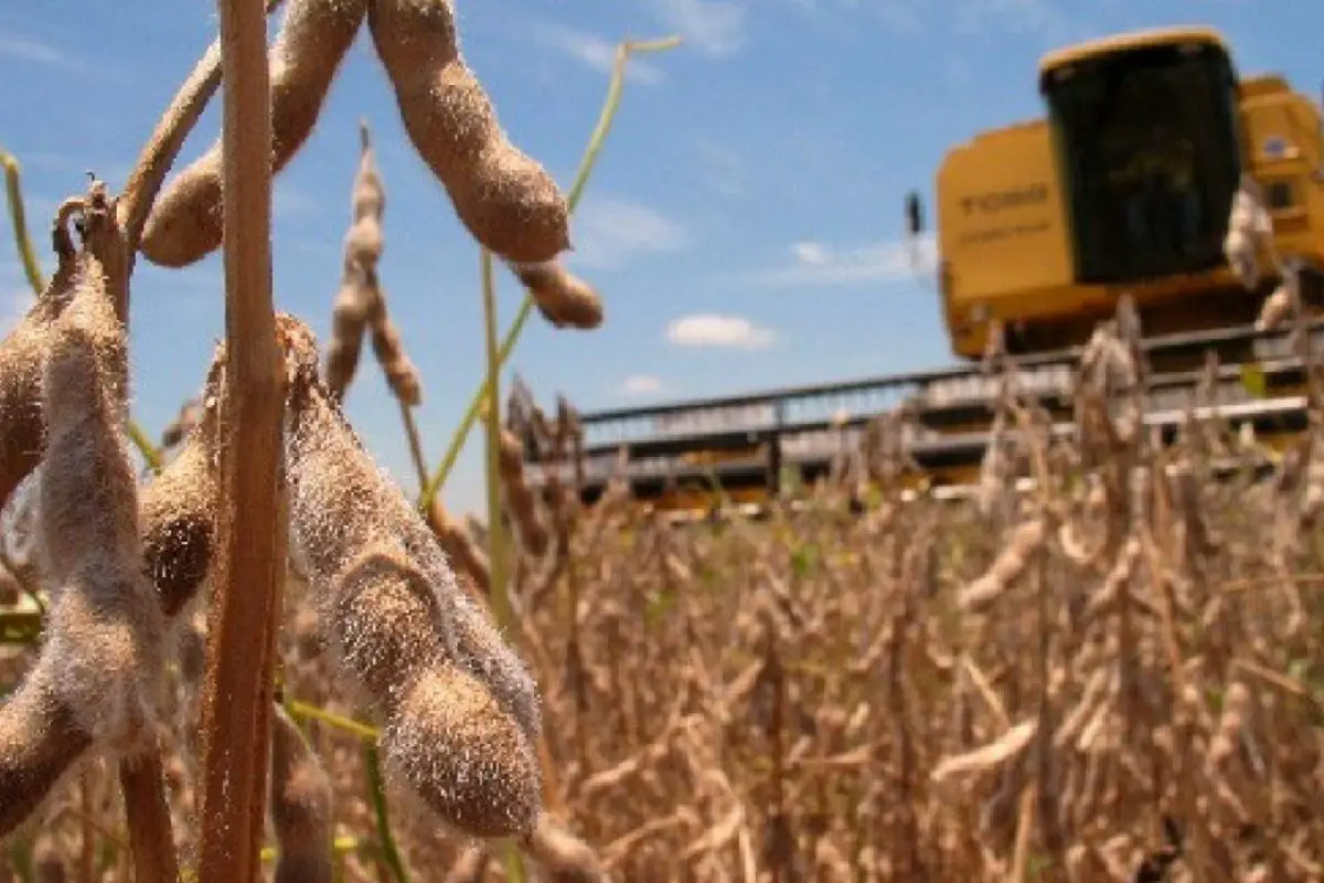 Argentina reduce los impuestos a la exportación de soja durante tres meses, con la esperanza de que los agricultores vendan sus cultivos