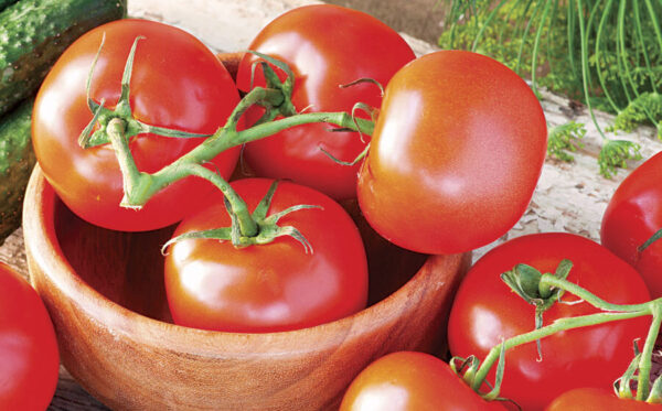 tomates Celebrities