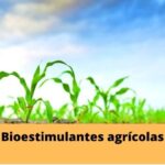Bioestimulantes agrícolas: Que es , para que son