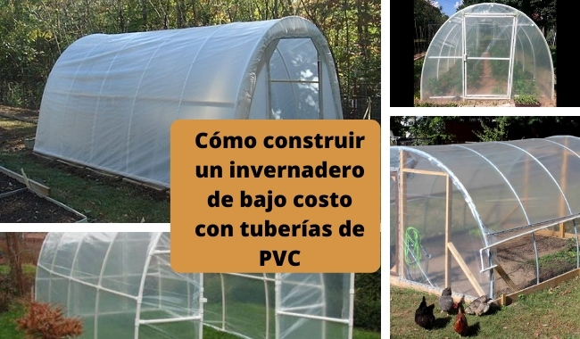 Cómo construir un invernadero con tuberías de PVC