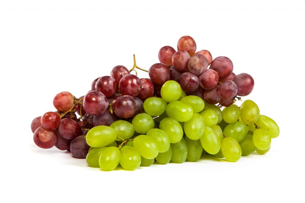 Estados Unidos comienza la transición a las uvas de mesa sudamericanas en medio de expectativas de mayores volúmenes