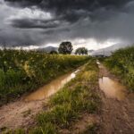 Brasil: Grandes lluvias de Paraná a Pará benefician granos, caña de azúcar y pastos