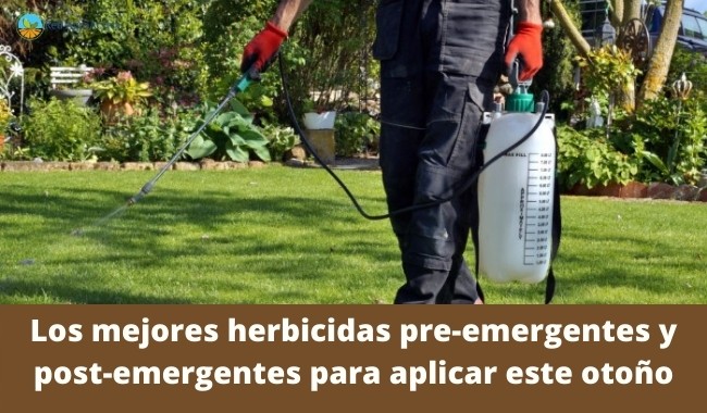 Los mejores herbicidas pre-emergentes y post-emergentes para aplicar este otoño