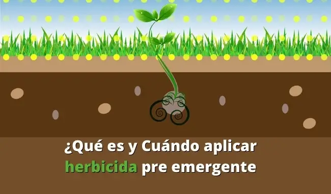 ¿Qué es y Cuándo aplicar herbicida pre emergente?