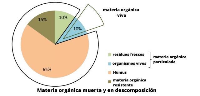 Las fracciones vivas y muertas de la materia orgánica del suelo se dividen en diferentes tipos de materia orgánica.