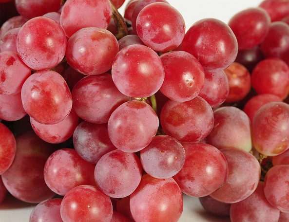Las exportaciones de uva peruana crecieron 48% en febrero