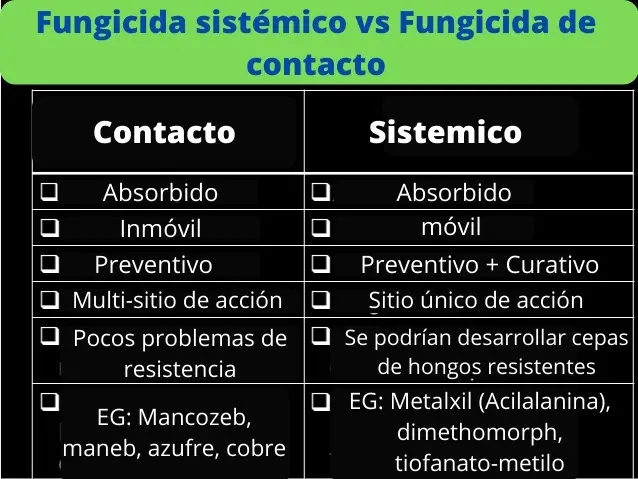 Fungicida sistémico vs Fungicida de contacto