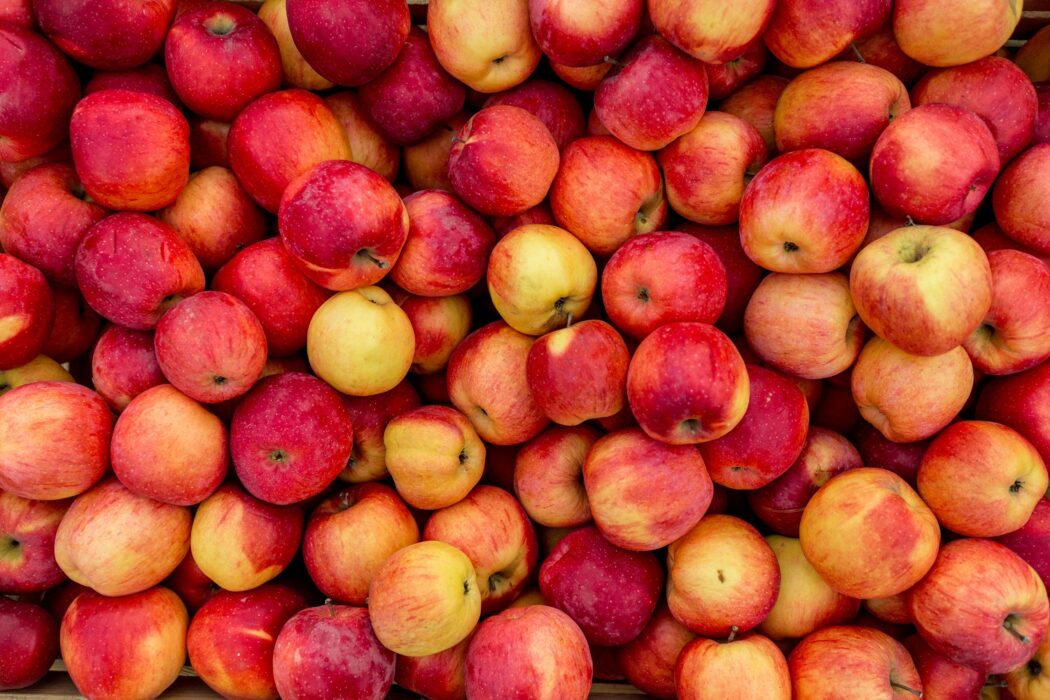 Se prevé que la producción de manzanas del hemisferio sur crezca en 2021