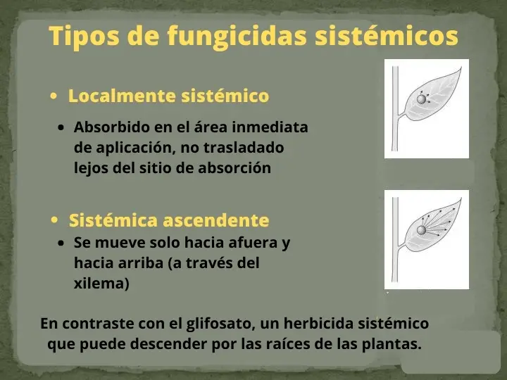 Tipos de fungicidas sistémicos