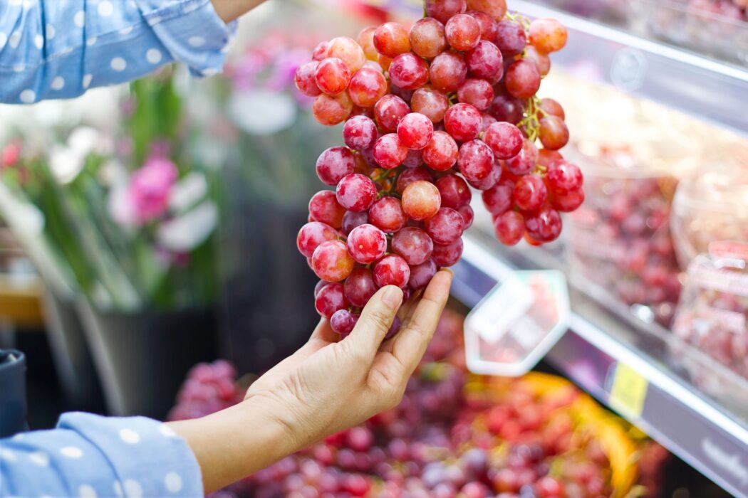 Chile: Asoex prevé una mayor caída de las exportaciones de uva de mesa
