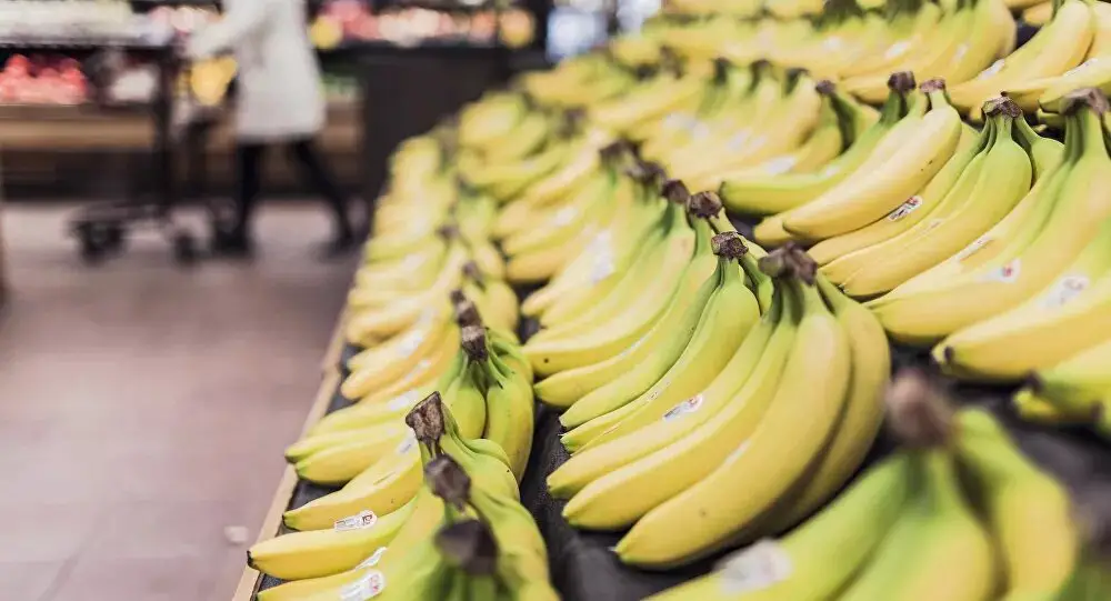 El misterio de la enfermedad del banano: ¿corre la humanidad el peligro de perder la preciosa fruta?