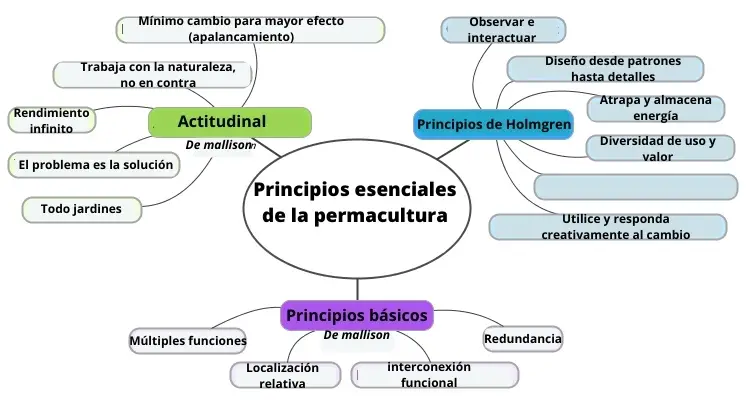 Principios esenciales de la permacultura