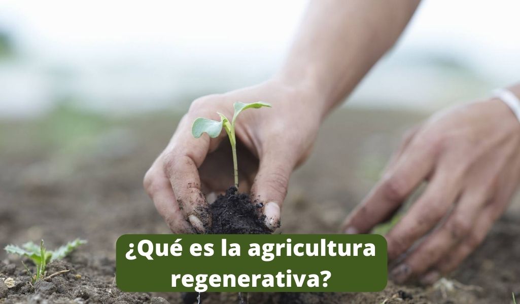 ¿Qué es la agricultura regenerativa?
