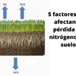 5 factores que afectan la pérdida de nitrógeno del suelo