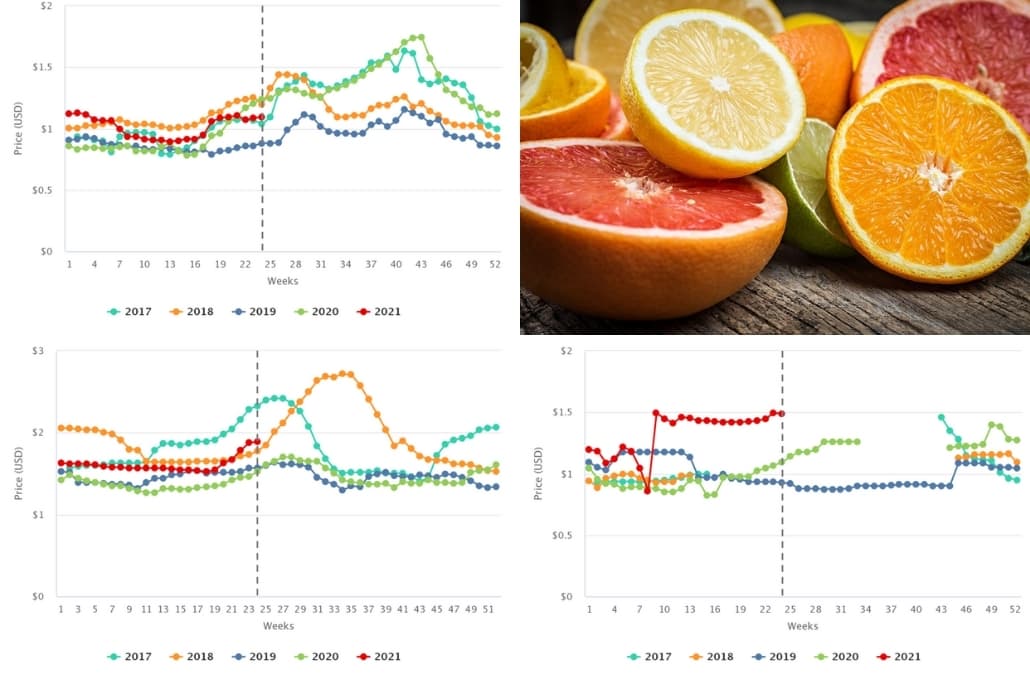 Agronometría en gráficos: instantánea de los precios de los cítricos en el mercado estadounidense