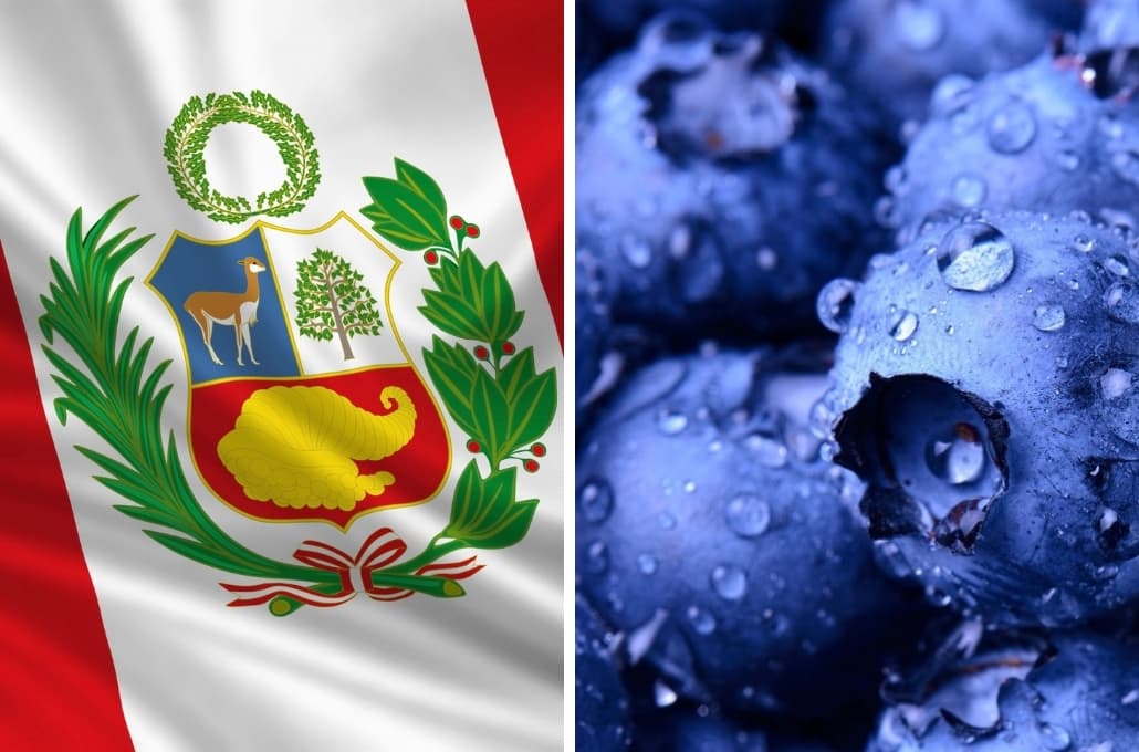 El sector frutícola de Perú corre a nuevas alturas