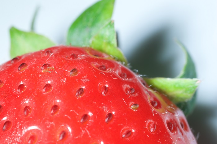 Los envases bioactivos desarrollados en Canadá pueden mantener las fresas frescas durante más tiempo