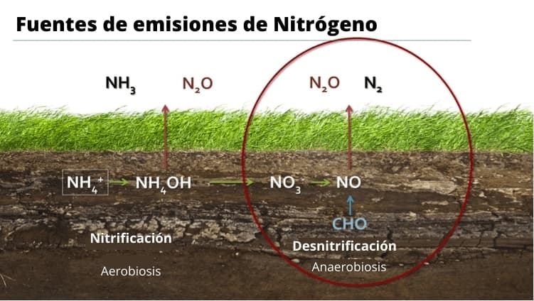 Fuentes de emisiones de Nitrógeno