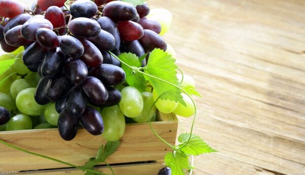 El volumen mundial de comercio de uva alcanzará un récord en 2020-21 a medida que la industria supere "múltiples obstáculos"