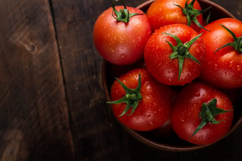 Un tribunal de la UE anula los acuerdos comerciales con Marruecos por el consentimiento del Sáhara Occidental, lo que afecta a las importaciones de tomate