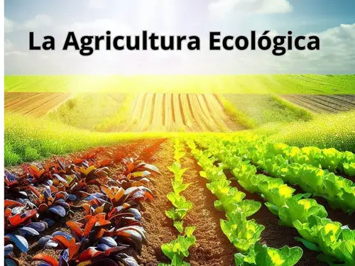 La Agricultura Ecológica